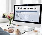 How Much is Banfield Pet Insurance?