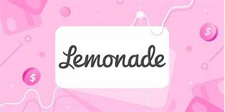 Does Lemonade Pet Insurance Pay Vet Directly?