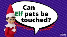 Can You Touch Your Elf Pet?