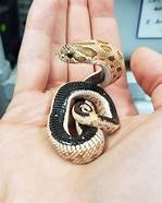 Do Hognose Snakes Make Good Pets?