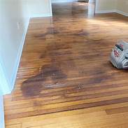 How to Remove Old Pet Stains from Hardwood Floors