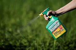 Is Glyphosate Safe for Pets?