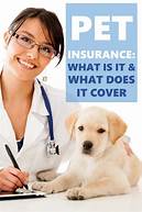 Does Pet Insurance Cover Check Ups?