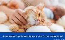 Is Air Conditioner Water Safe for Pets?