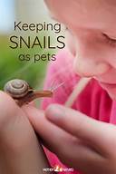 How to Keep a Pet Snail