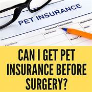 Can I Get Pet Insurance Before Surgery Reddit?