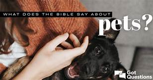 Did Jesus Have Pets?