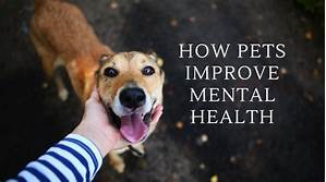 How Can Pets Help with Mental Health?