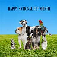 Is it National Pet Month?