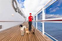 Can You Bring Pets on a Cruise?