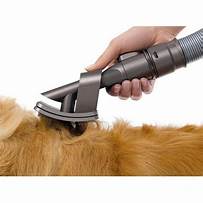 Is Dyson V10 Good for Pet Hair?