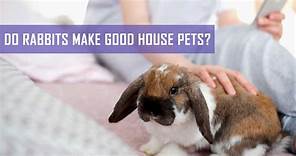 Do Rabbits Make Good House Pets?