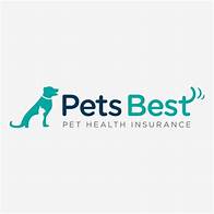 How to Start a Pet Insurance Company