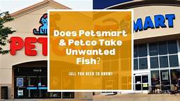 Does Petco Take Unwanted Pets? A Comprehensive Guide