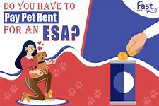 Do I Have to Pay Pet Rent for an ESA?