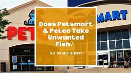 Does Pet Supply Plus Sell Fish? Everything You Need to Know