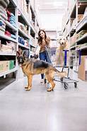 Does Michaels Allow Pets: A Comprehensive Guide for Pet Owners