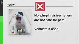 Are Plug-In Air Fresheners Safe for Pets?