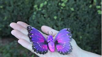 Can You Have a Pet Butterfly?