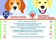 How to Make My Dog an Emotional Support Pet