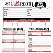 How to Find Pet Vaccination Records