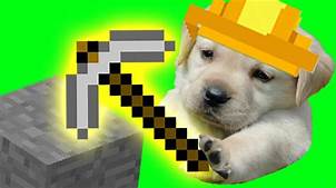 How to Get a Pet in Minecraft