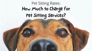 How Much Charge for Pet Sitting