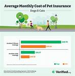 What Is the Cost of Pet Insurance Per Year?