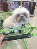 Is Joann Pet Friendly?