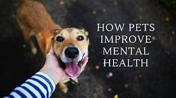 How Do Pets Improve Mental Health?