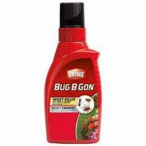 Is Bug B Gone Safe for Pets?