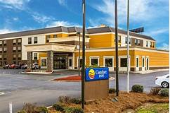 Is Comfort Inn and Suites Pet-Friendly?