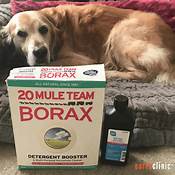 Does Borax Harm Pets?