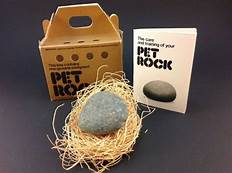 How Much Did the Pet Rock Make?