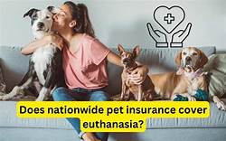Does Nationwide Pet Insurance Cover Cremation?
