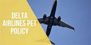 Does Delta Airlines Allow Pets?
