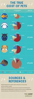 How Much Does a Pet Cost Per Month?