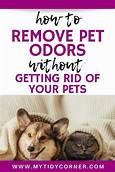How to Get Pet Odors Out of a House