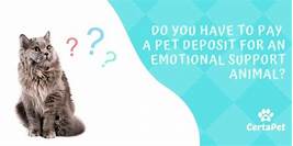 Do You Have to Pay a Pet Deposit Every Year?