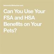 Can You Use Your HSA for Pets?