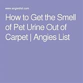 How to Get Pet Smells Out of Carpet