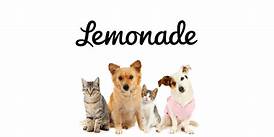 Is Lemonade Pet Insurance Good? Reddit Review