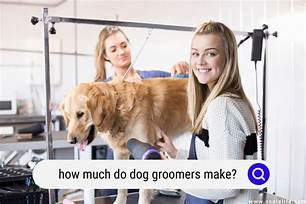 How Much Do Pet Groomers Make an Hour?