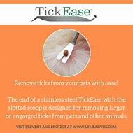 How to Remove Ticks From Pets