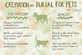 How Are Pets Cremated?