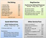 How Much to Charge for Pet Sitting Overnight