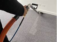 How do you Remove Pet Urine Stains From Carpet