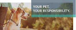 Pets in Yosemite: Guidelines for Responsible Pet Ownership