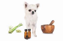 Is Lemongrass Safe for Pets?