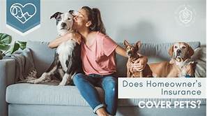 Does Homeowners Insurance Cover Pet Damage?